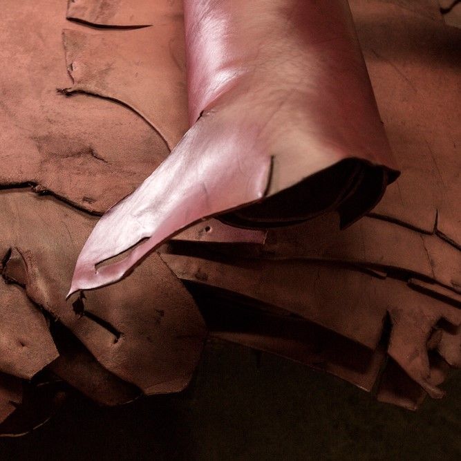 TORY LEATHER BELT トリ―レザーベルト HOOF PICK BELT