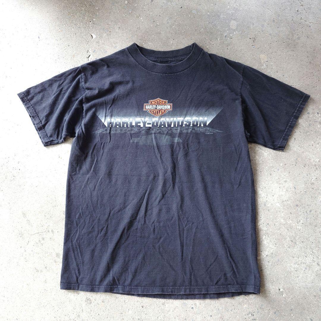 90s Harley Davidson santafe EAGLE L