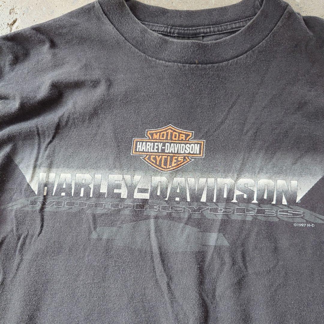 90s Harley Davidson santafe EAGLE L