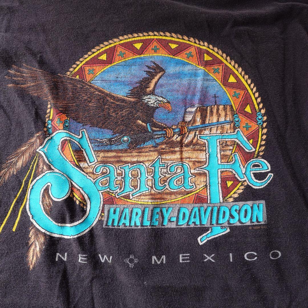 90s Harley Davidson santafe EAGLE L