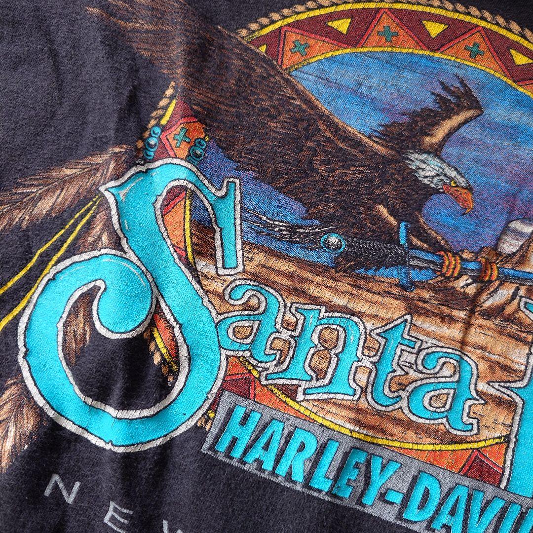 90s Harley Davidson santafe EAGLE L
