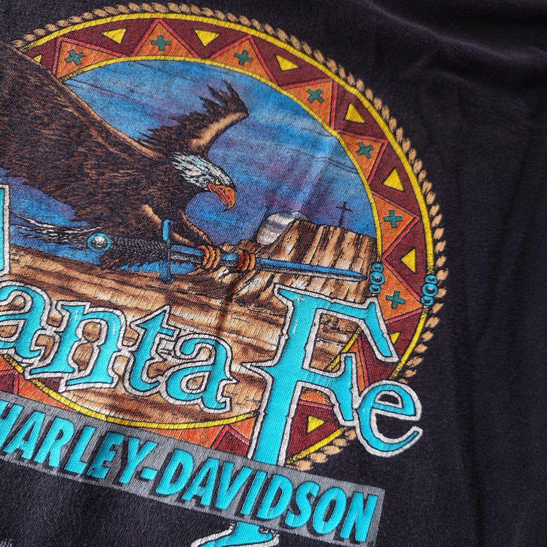 90s Harley Davidson santafe EAGLE L