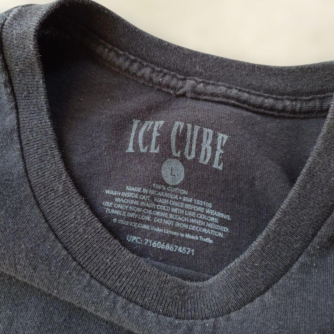 ICECUBE official tee L