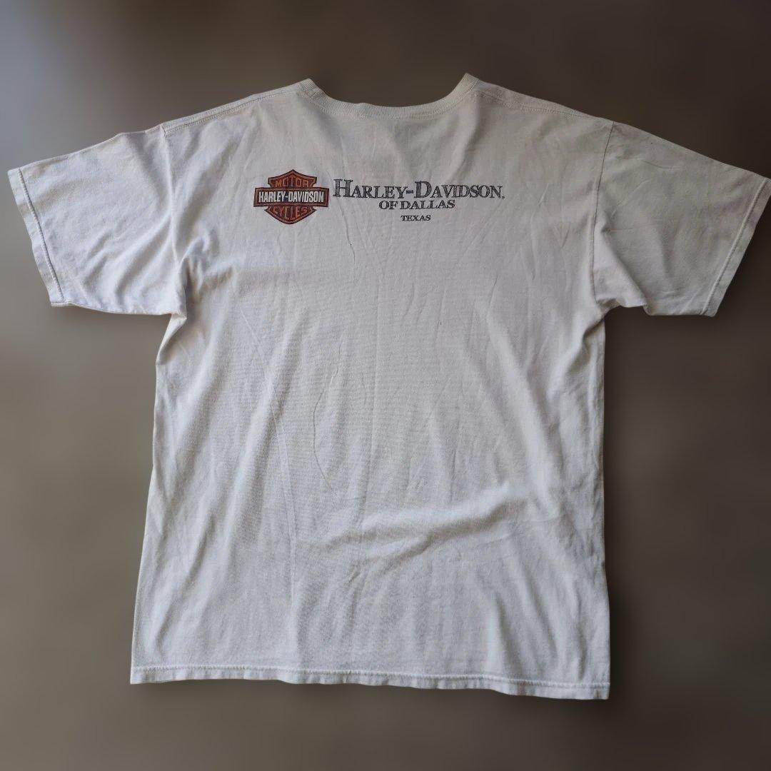 HARLEYDAVIDSON nose art tee XL