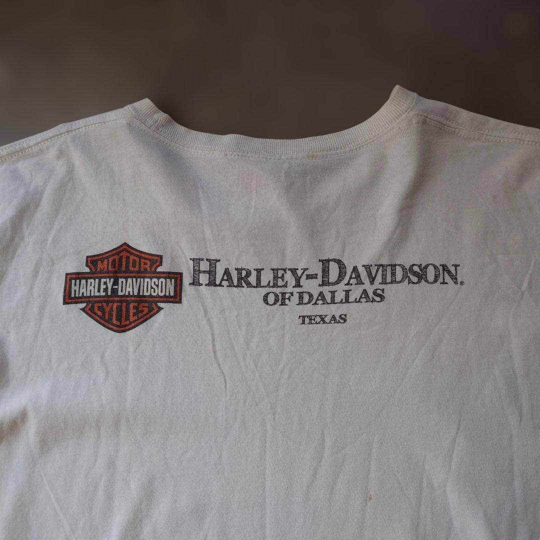 HARLEYDAVIDSON nose art tee XL
