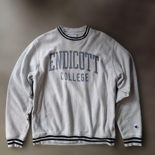 00s CHAMPION reverseweave sweat M