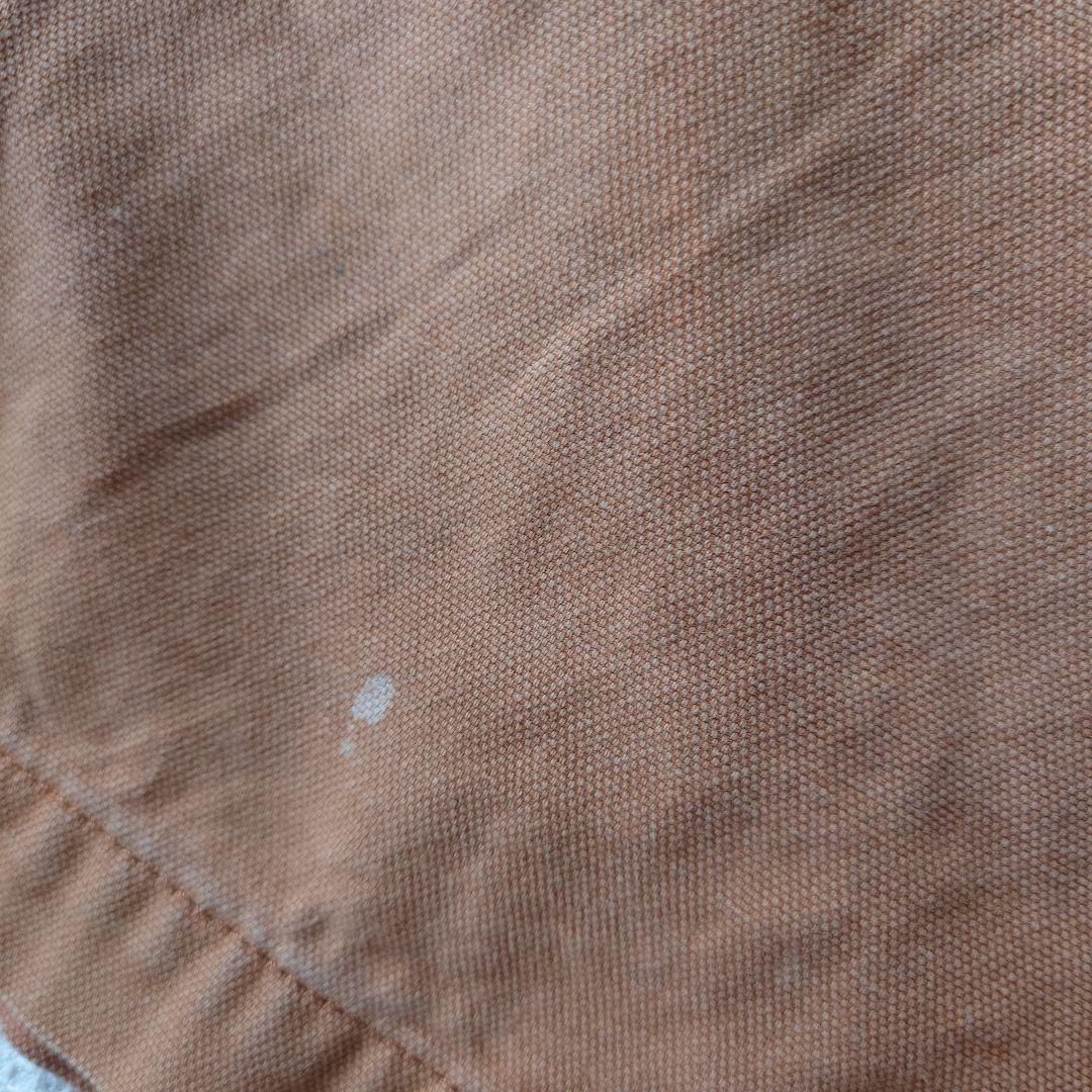 PATAGONIA canvas short pants W31