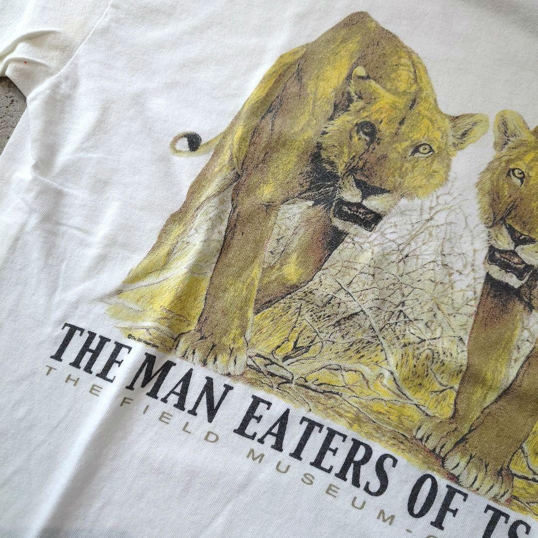 Safari tiger print tee L