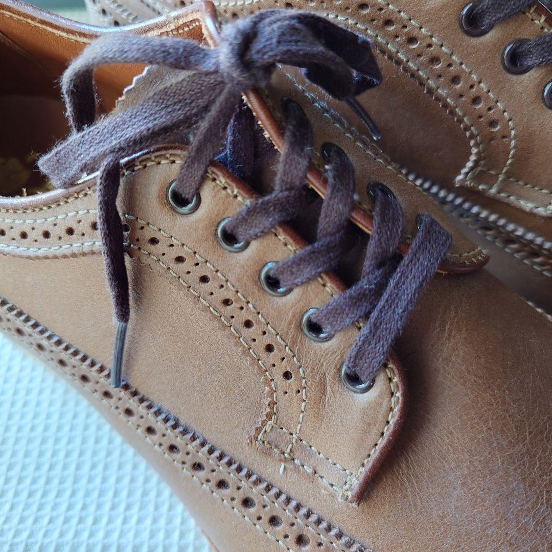 Deadstock ALDEN wingtip 58804 9inch 　オールデン　ウイングチップ　クロムエクセル　ALDEN 9インチ