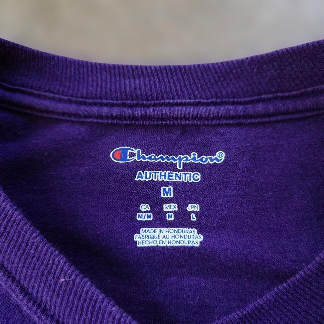 CHAMPION 00s ls tee M