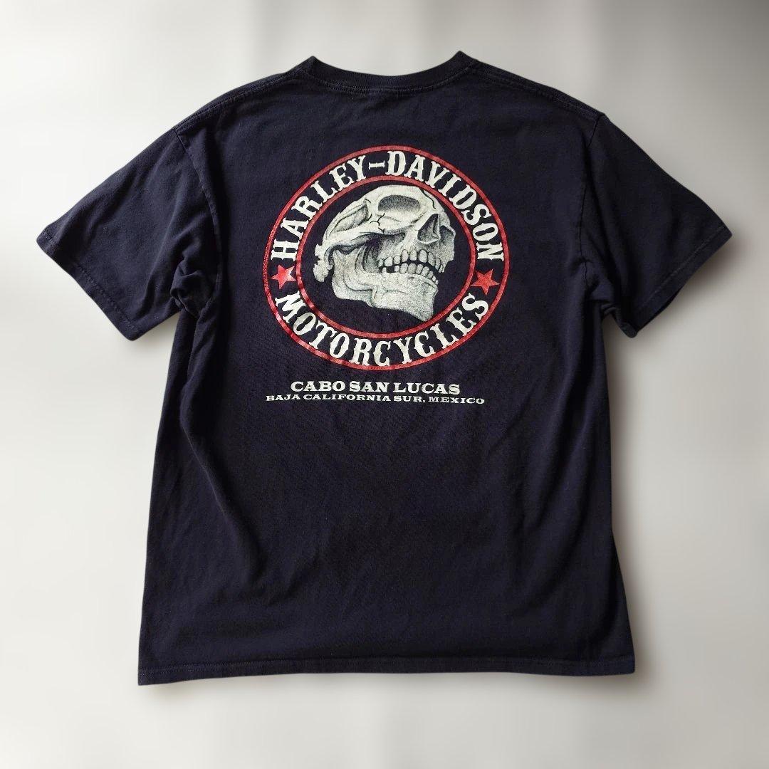 Harley-Davidson SKULL tee L MEXICO