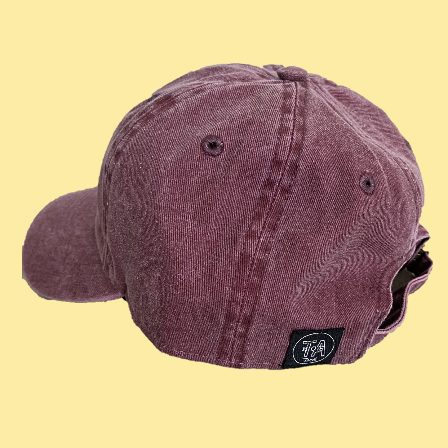 TAHOE Original Garment dye LOGO Cap RED